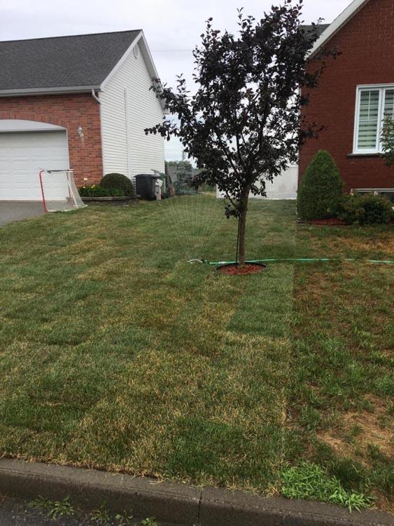 Terrassement et réparation de terrain Victoriaville