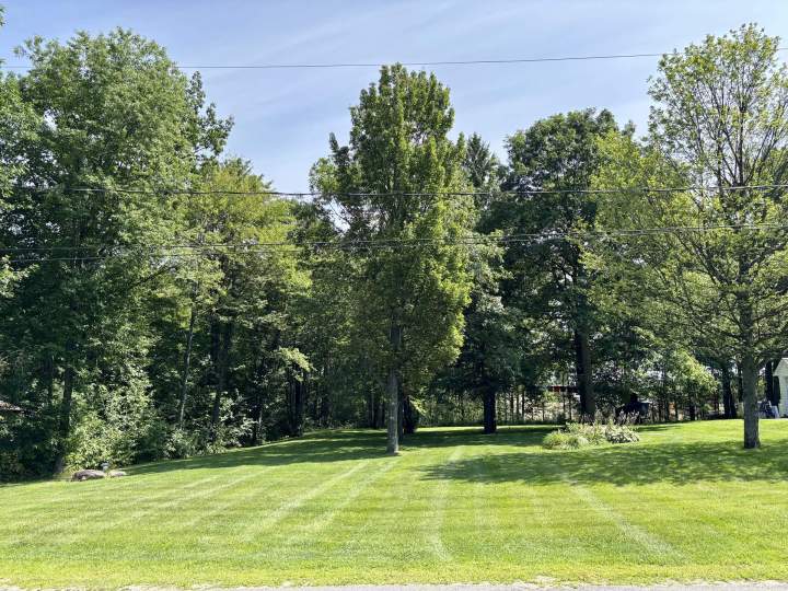 Spécialistes en entretien de pelouse Victoriaville